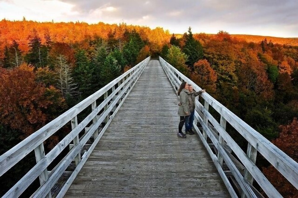 The Fiddle and the Sea B&B by null