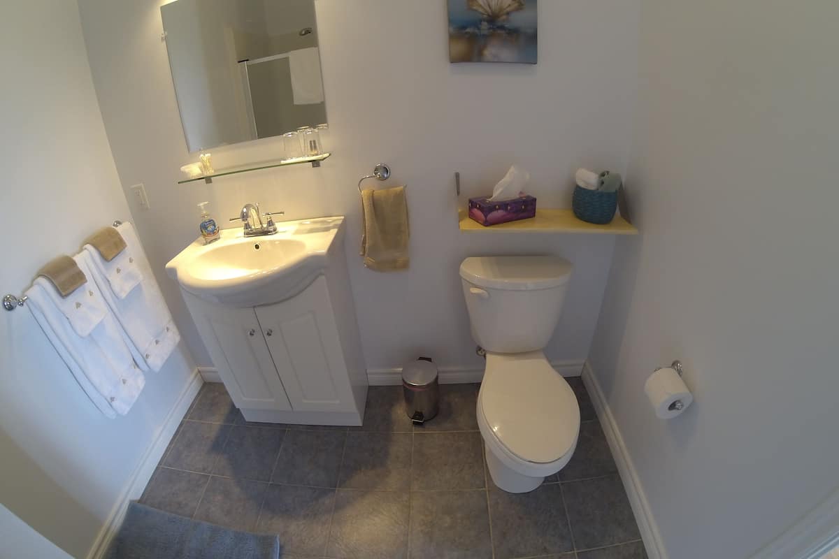 Premium-Zimmer, 1 Queen-Bett, Kühlschrank und Mikrowelle, eingeschränkter Meerblick | Badezimmer | Dusche, kostenlose Toilettenartikel, Haartrockner, Handtücher