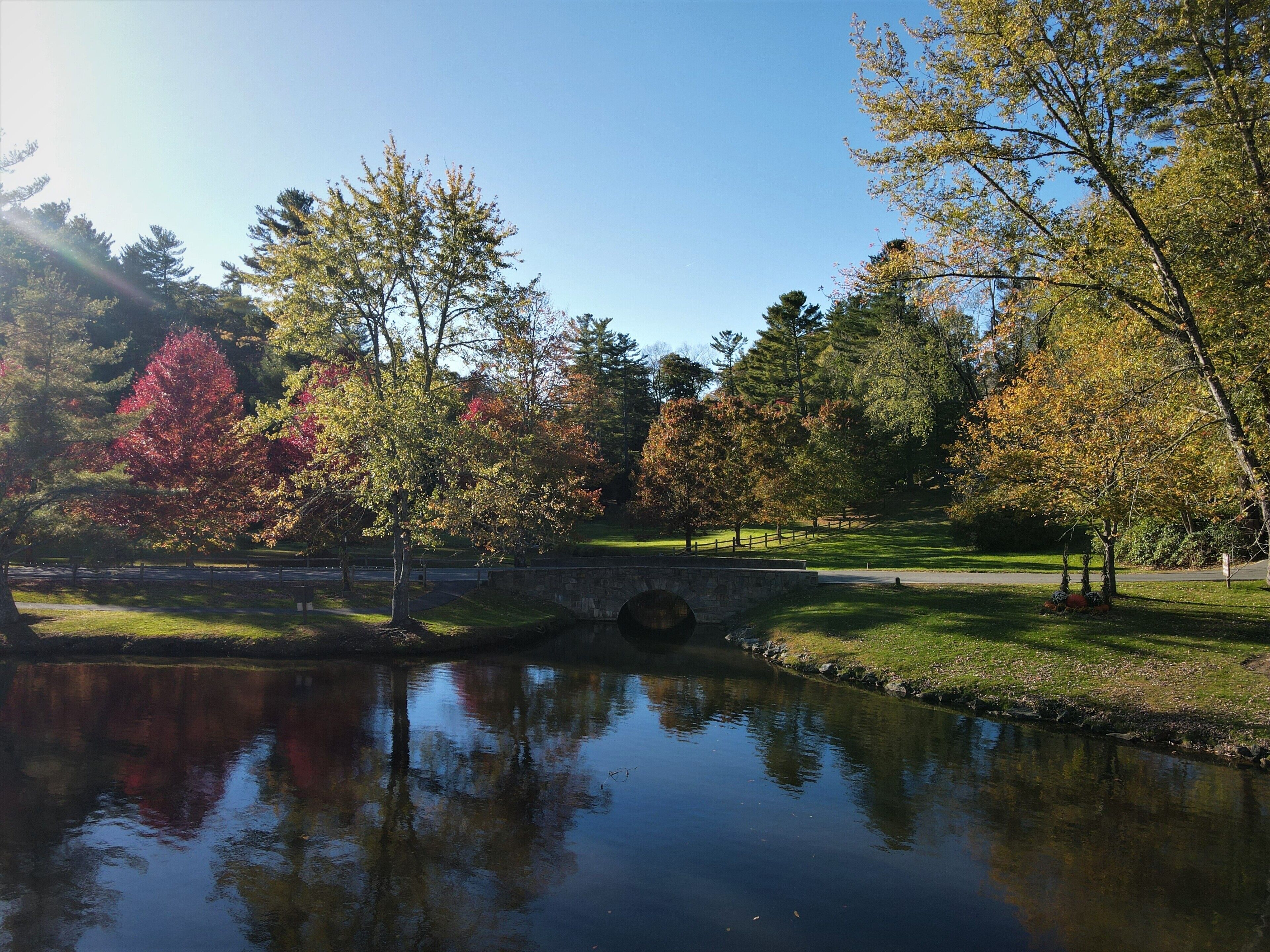A serene park with a pond, trees, and a stone bridge.