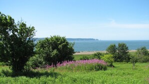 A coastal landscape with a grassy field, trees, and purple flowers. - Cape Split View Cottages (West Bay)