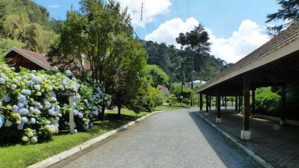 A paved road flanked by lush greenery and a covered structure.