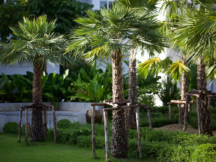 Terrein van de accommodatie