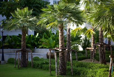 切兹布雷 - 家庭旅馆