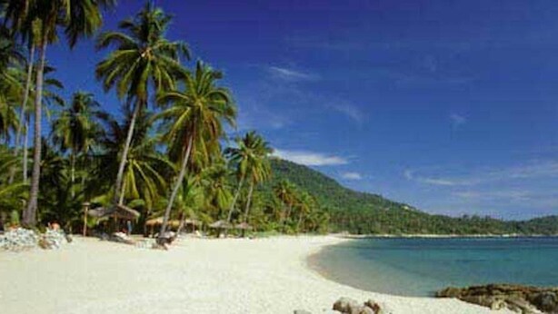 A beach with white sand, palm trees, and a clear blue sky. - 3 Bedroom Villa SDV261- Walk to Beach-By Samui Dream Villas (Koh Samui)