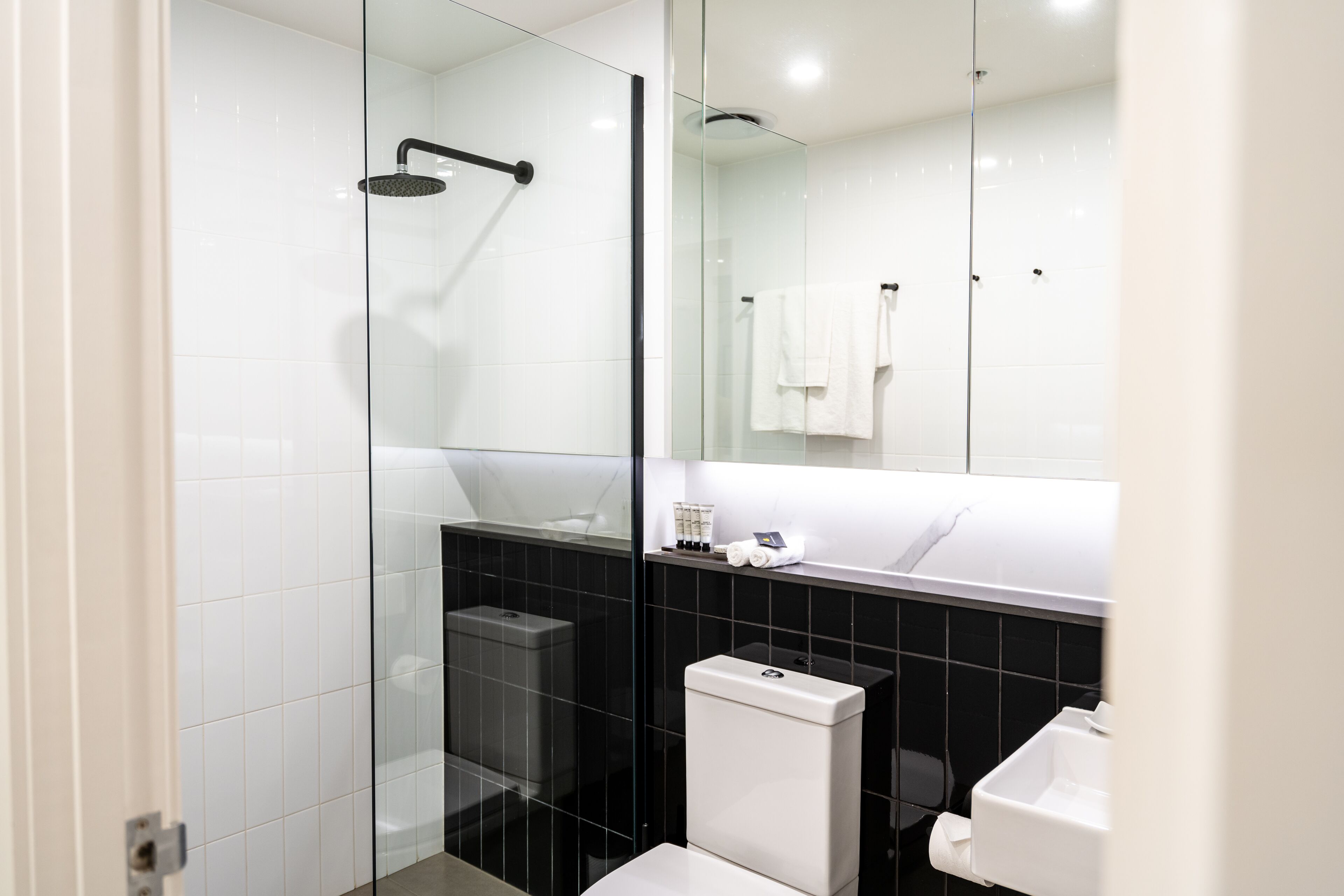 A modern bathroom with a glass shower enclosure, a white toilet, a sink, and a mirror above the sink.