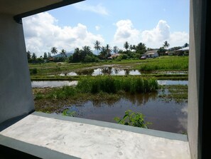 Quang cảnh từ phòng