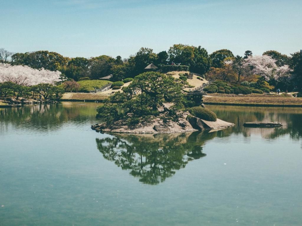 A tranquil pond with a small island, surrounded by trees and a clear sky.