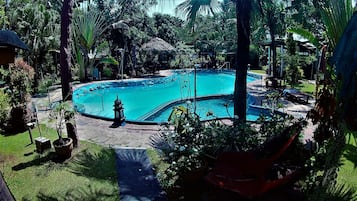 Outdoor pool, sun loungers