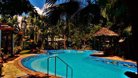 Outdoor pool, sun loungers