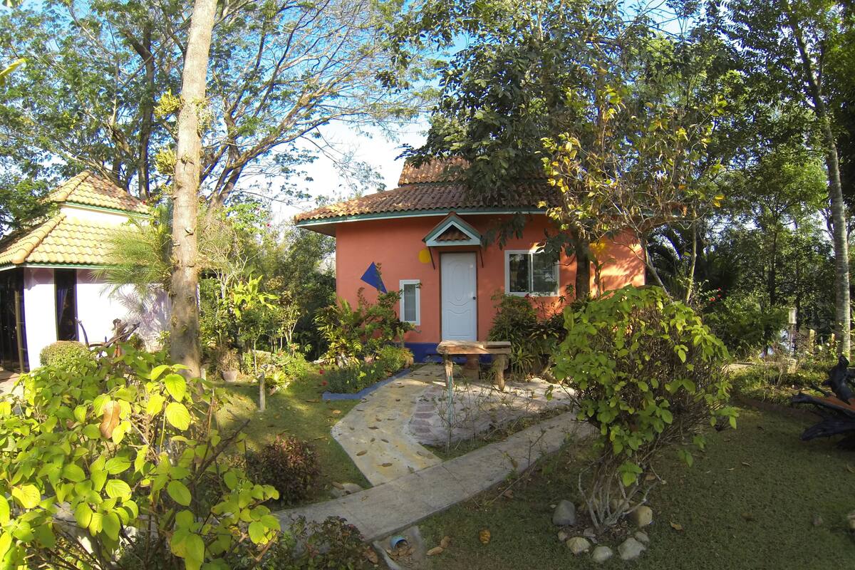Una casa con techo de tejas, un pequeño porche y un jardín con diversas plantas y un sendero.