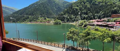 施設からの眺望