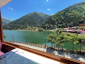 Vista des de l'allotjament