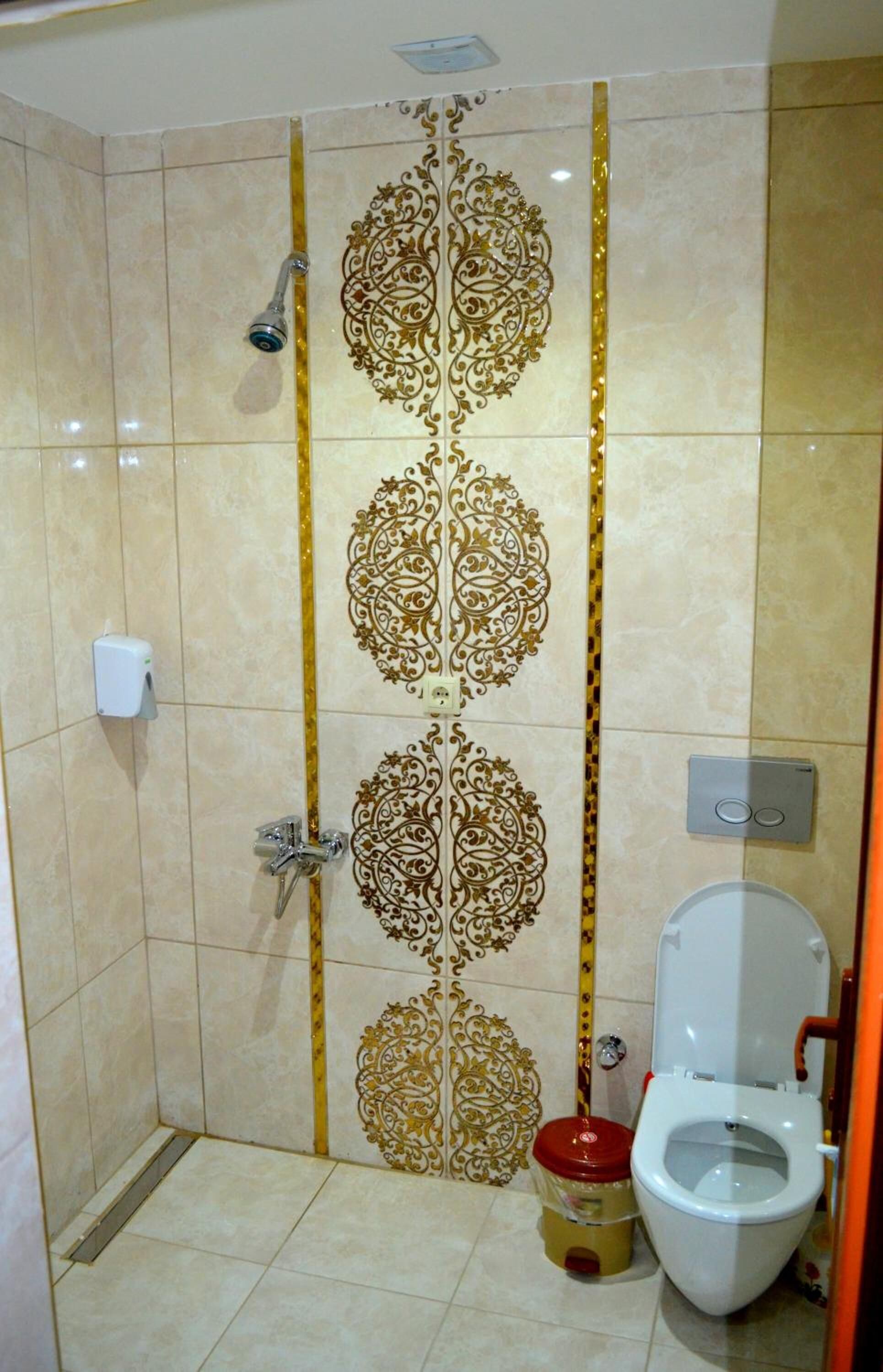 A bathroom with a shower, toilet, and a decorative tile design.