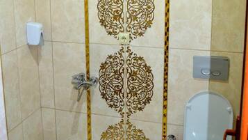 A bathroom with a shower, toilet, and a decorative tile design.