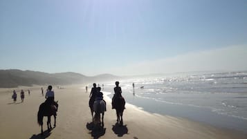 Pantai berhampiran