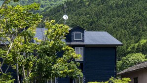 Een huis met een schotelantenne, omgeven door weelderige groene bomen en een berg op de achtergrond.