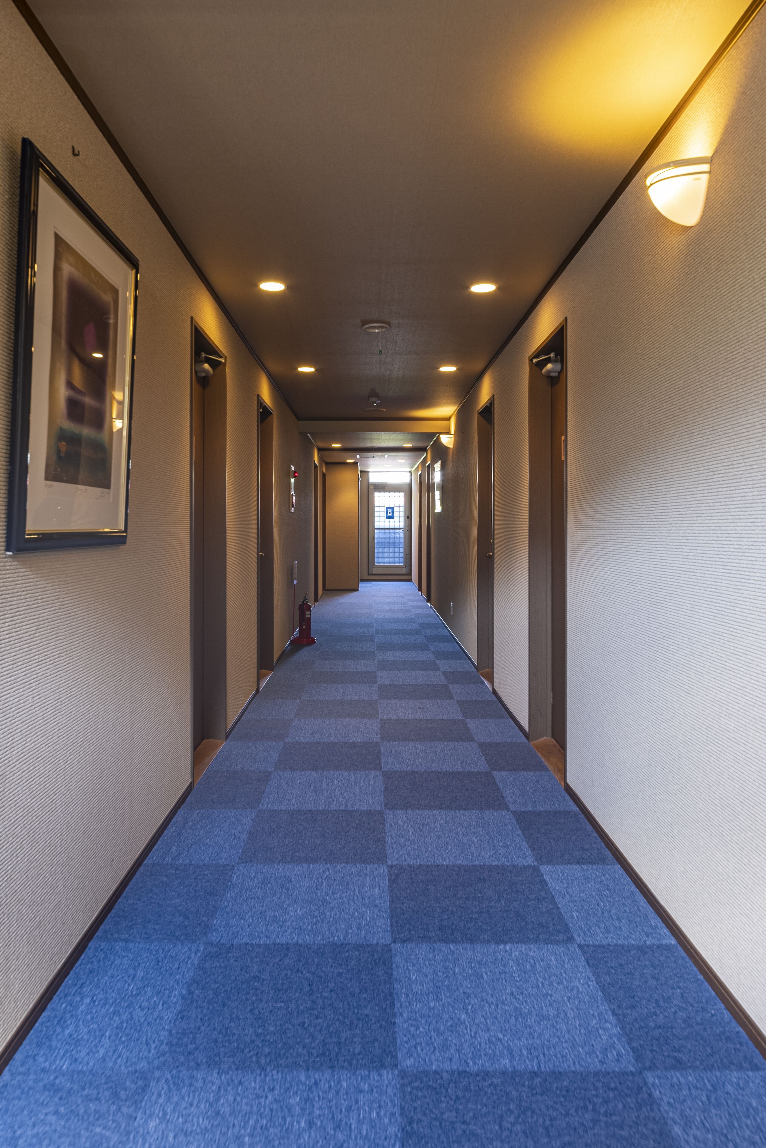 A hotel hallway with a checkered blue carpet, framed pictures on the walls, and doors on both sides.