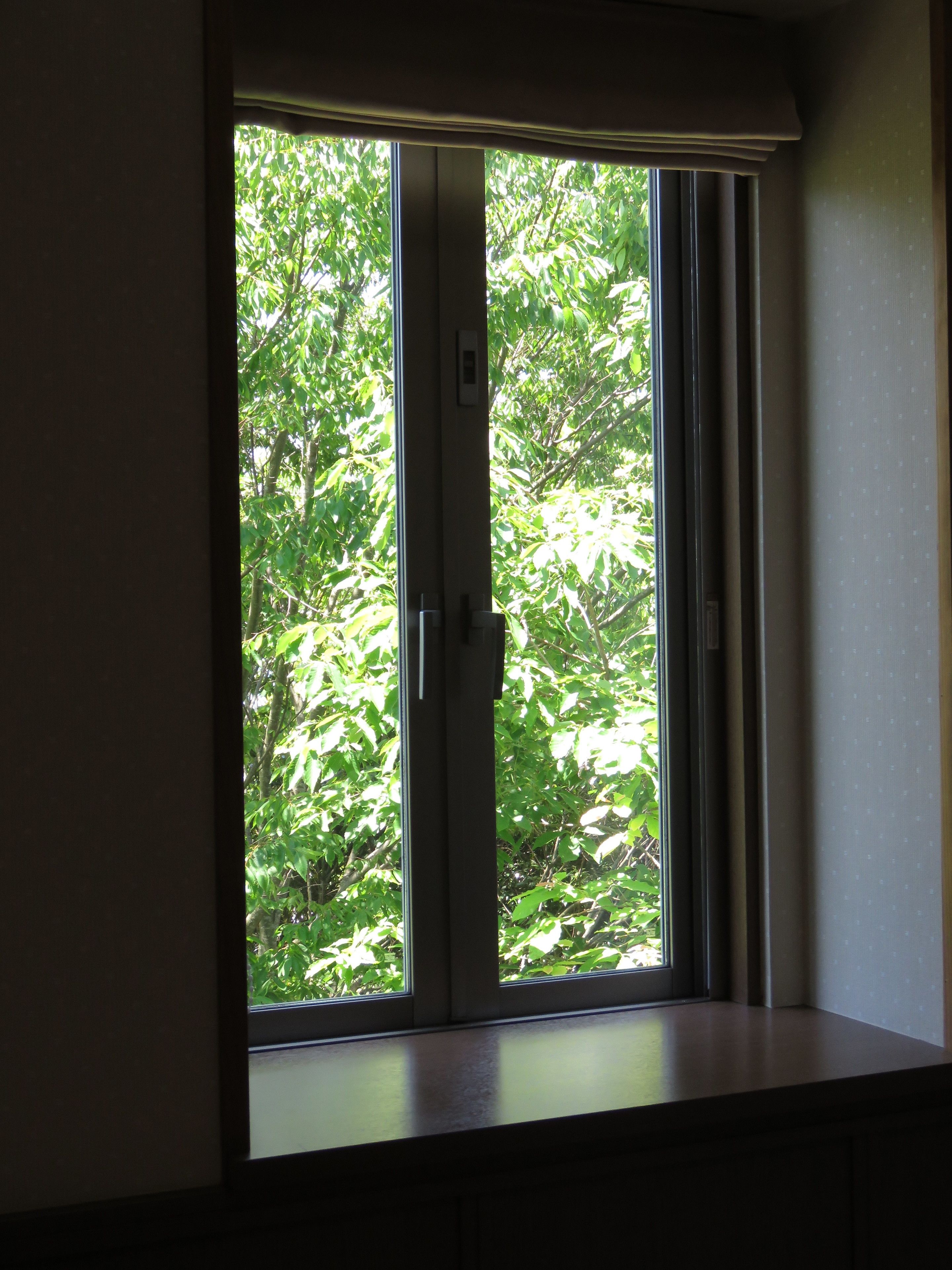 单人房 (with Private Bathroom) | 客房景观