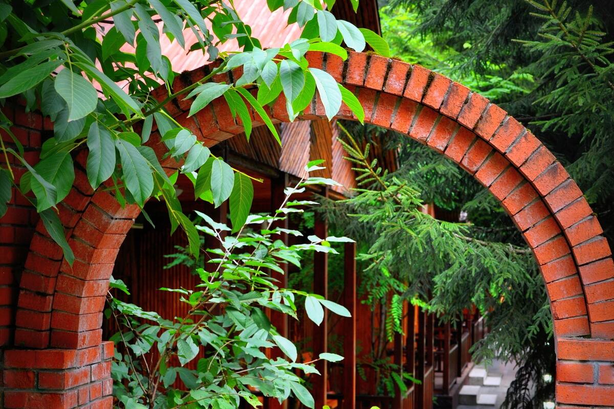 A narrow brick corridor with a wooden railing, surrounded by lush green foliage and a brick wall.