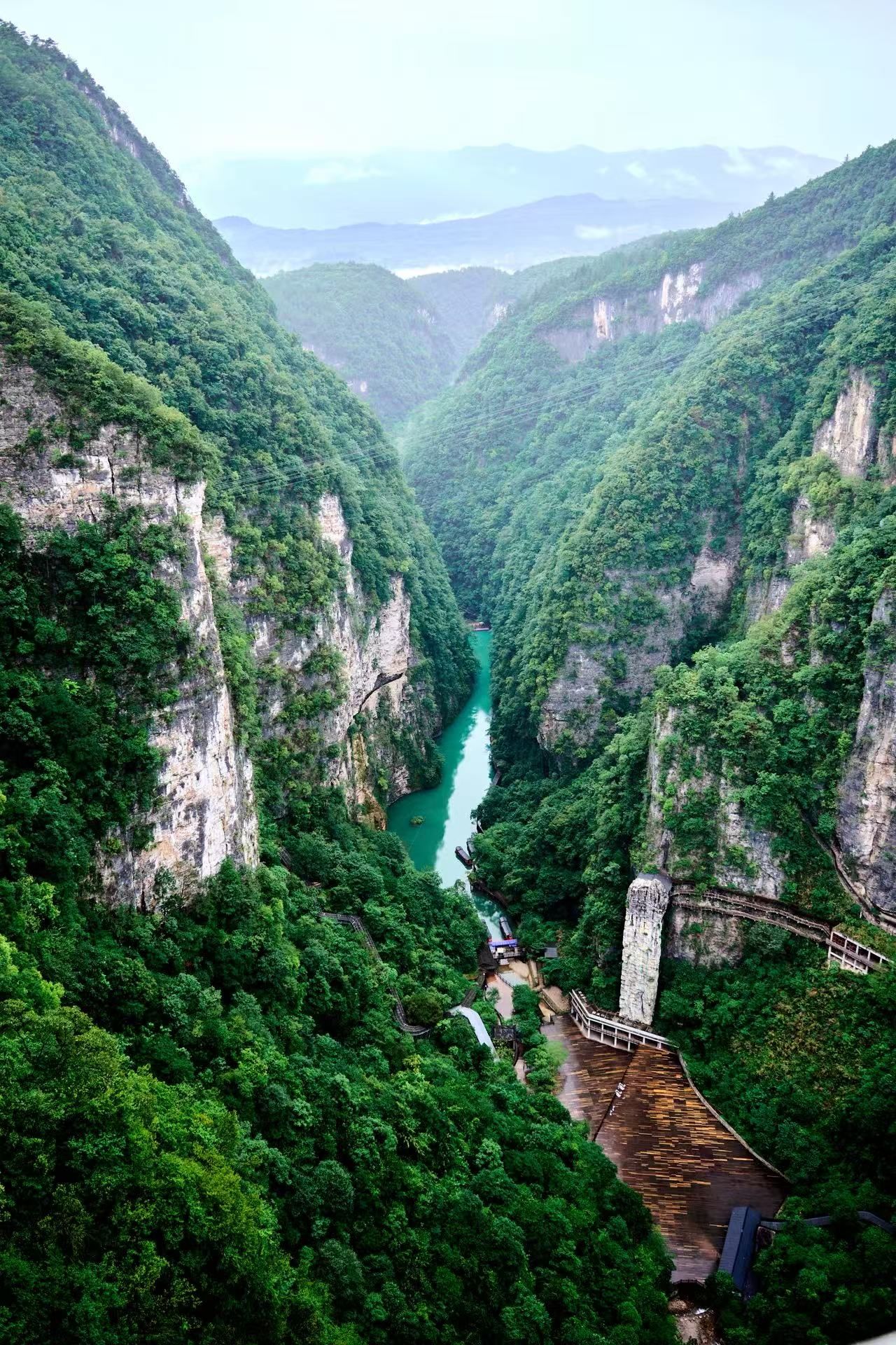 Um cânion fluvial com penhascos íngremes e vegetação densa.