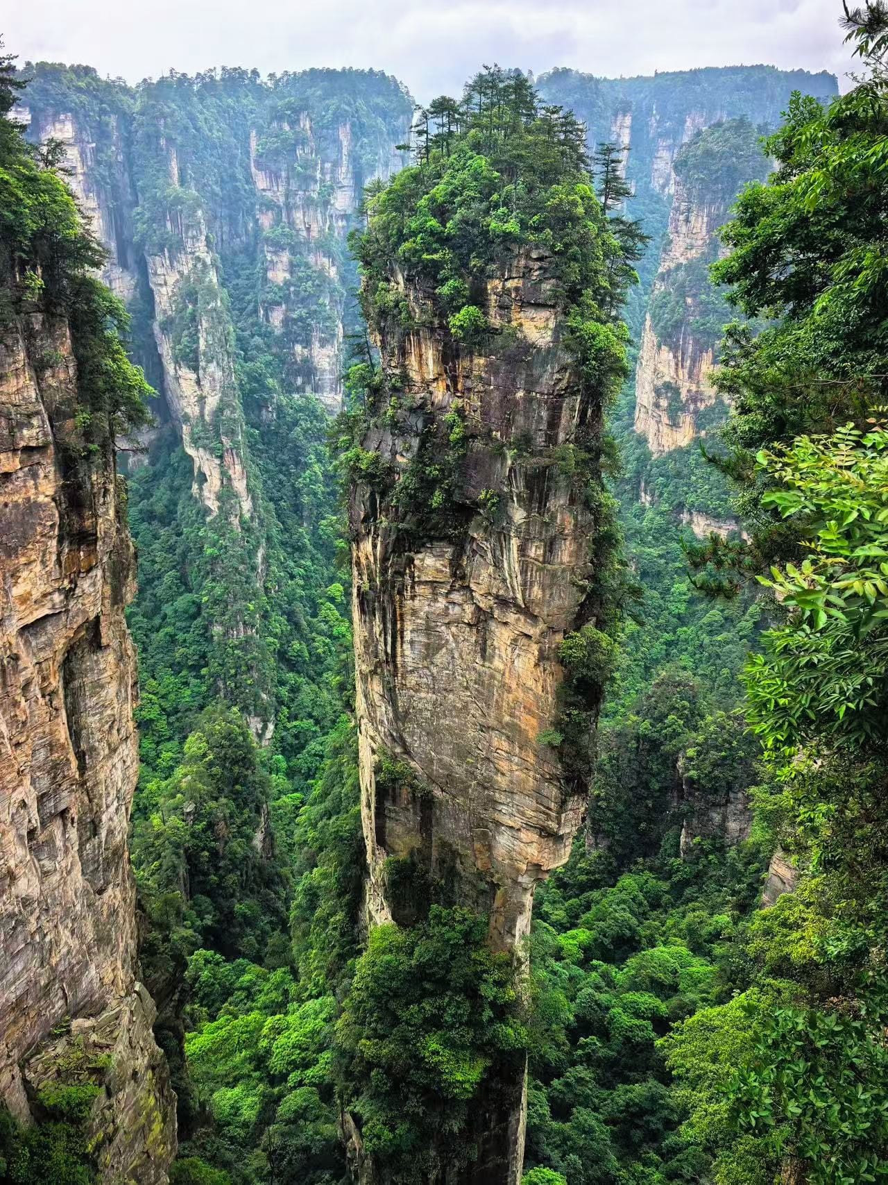 A high-rise hotel with a panoramic view of a lush valley and towering cliffs.