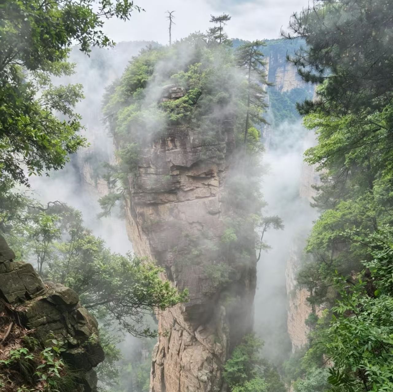 Une formation rocheuse naturelle, caractérisée par une végétation luxuriante et de la brume.