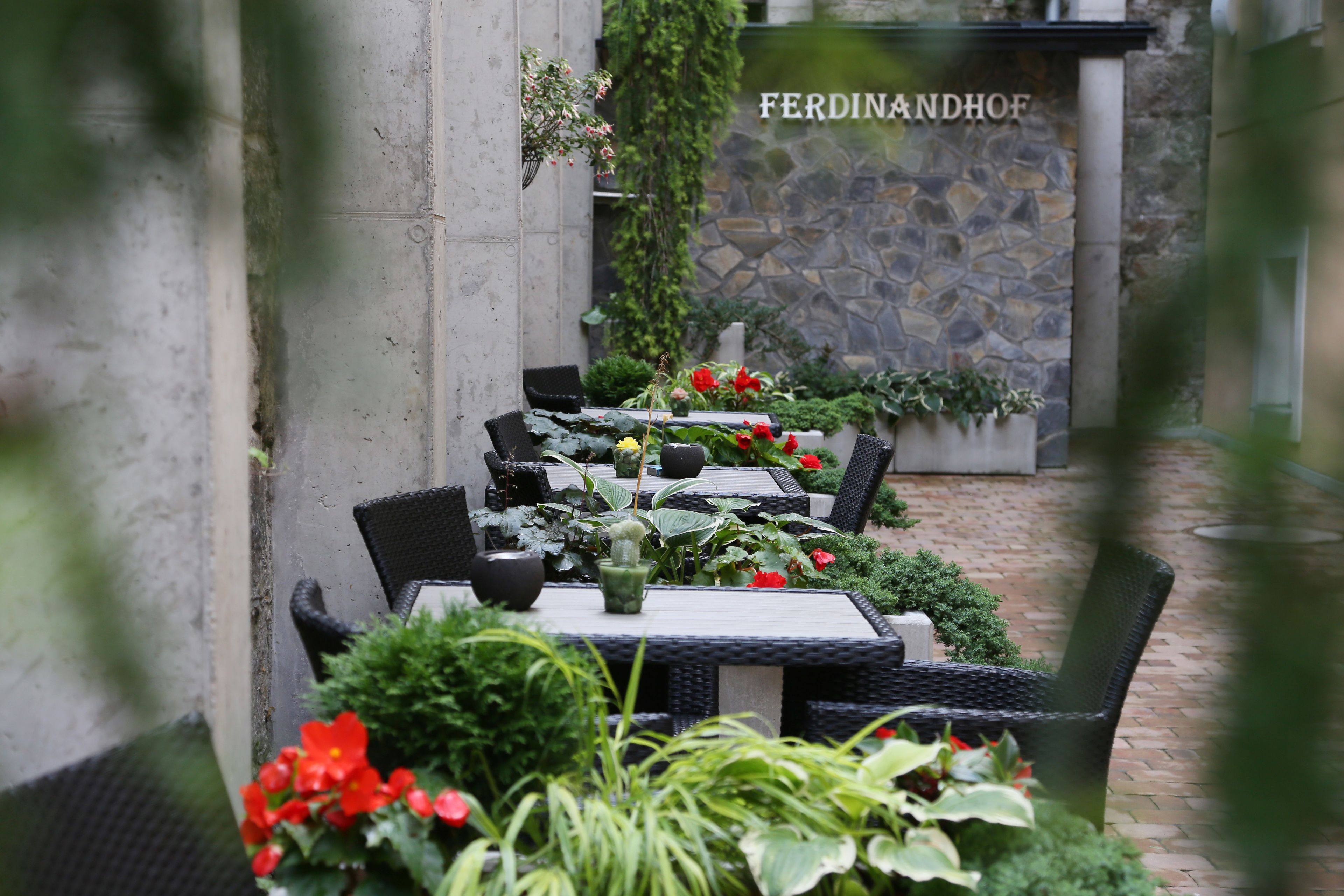 An outdoor dining area with wicker tables and chairs, surrounded by potted plants and flowers.