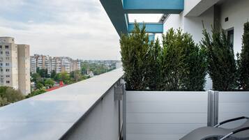 Business studio suite | Kameruitzicht