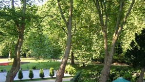 Ein Essbereich im Freien mit Tischen und Stühlen unter grünen Sonnenschirmen, eingebettet in eine parkähnliche Umgebung mit Bäumen und einem Weg im Hintergrund.