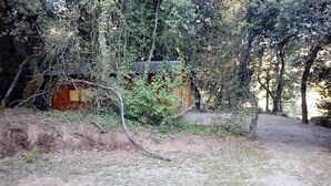 Metsän keskelle rakennettu maalaishenkinen mökki, jolle johtaa mutainen polku.