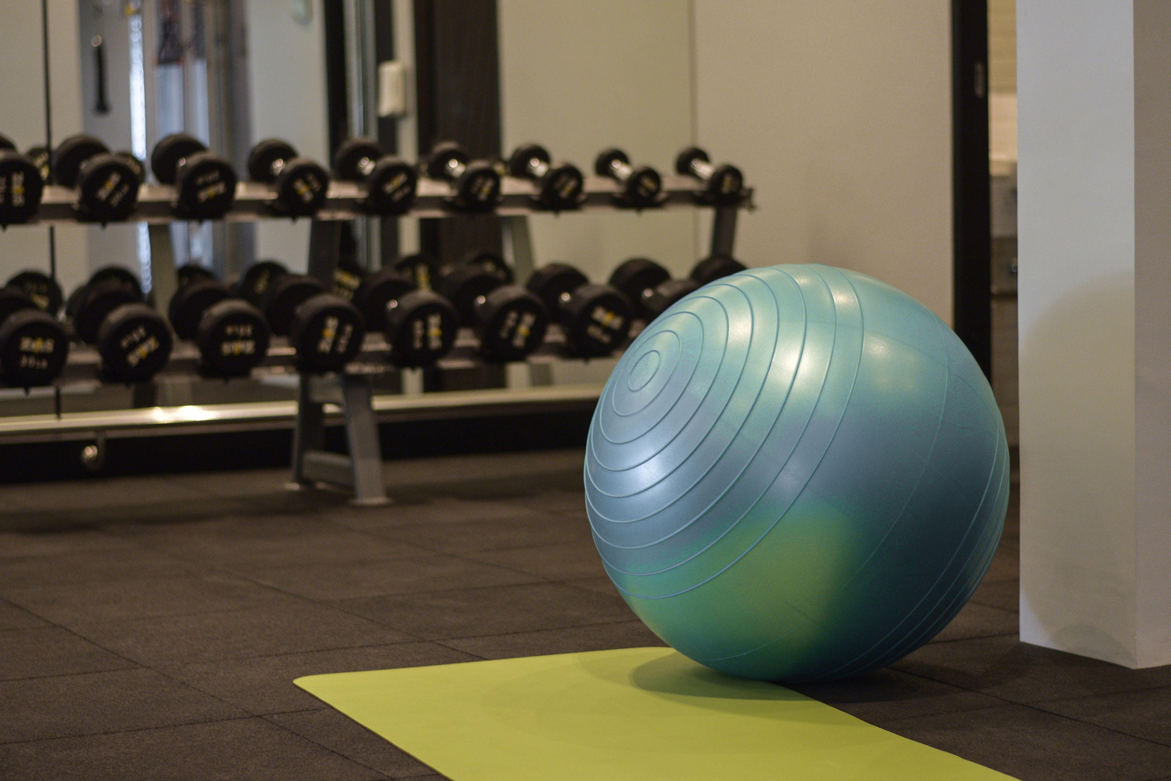 A gym with exercise equipment, including a blue exercise ball and dumbbells on racks.