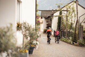 Bicycling - Weingarten Terlan - Rooms & Breakfast (Terlano)