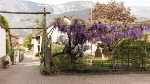 A cobblestone street leading to a gate with purple wisteria vines. - Weingarten Terlan - Rooms & Breakfast (Terlano)