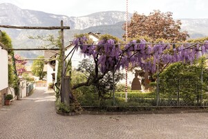 Estacionamiento gratis