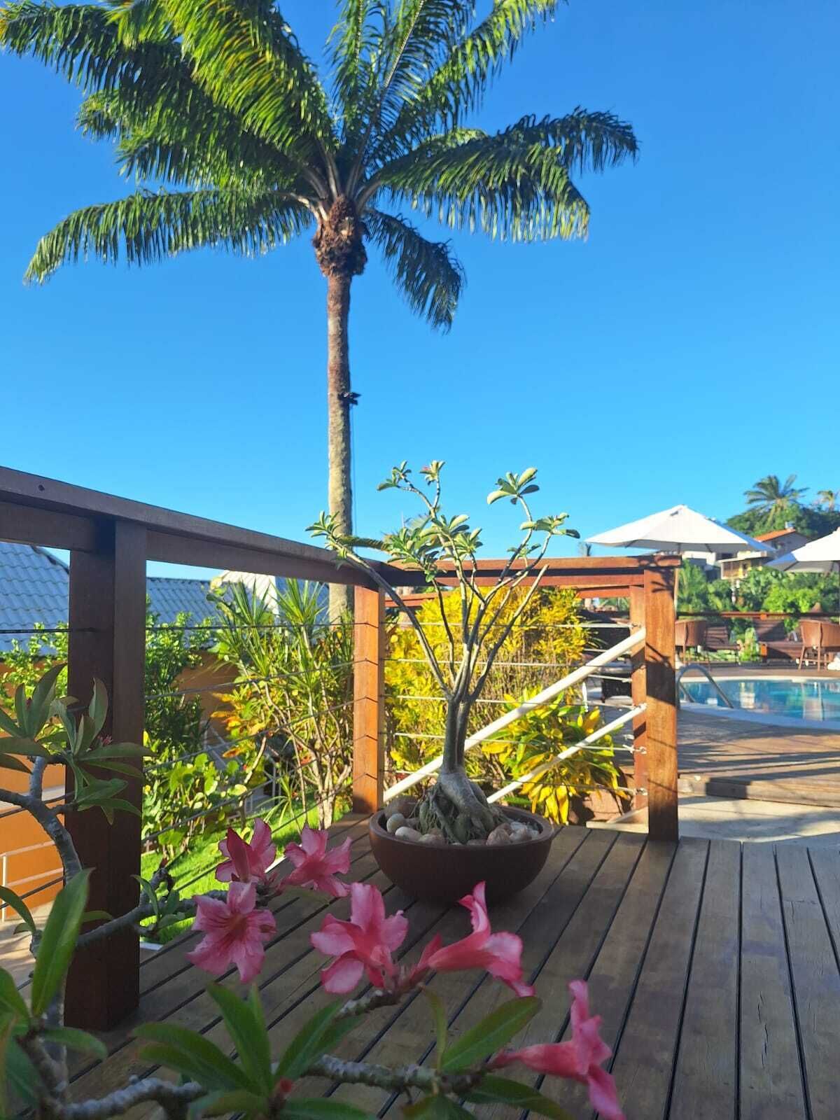 A wooden deck with a palm tree, a potted plant, and pink flowers.