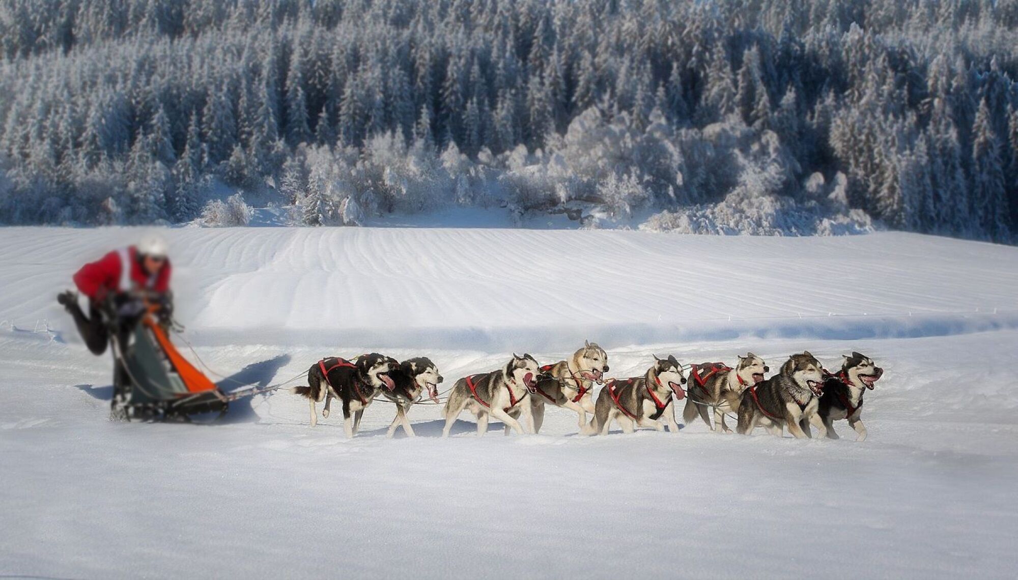 Photo - Nashira Kurpark Hotel