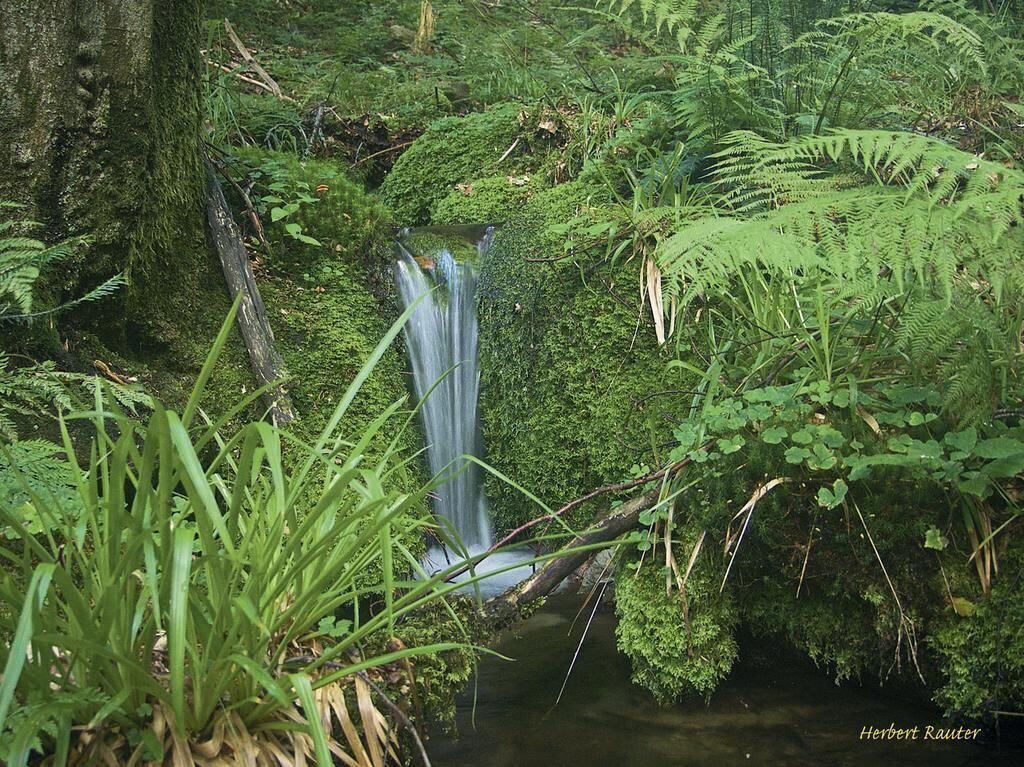 Photo - Nashira Kurpark Hotel