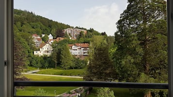 Vista desde la habitación