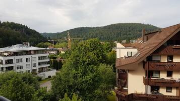 Businesshuone (Superior) | Näkymä huoneesta