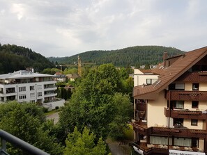 Business Superior Room | View from room