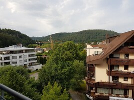 Business Superior Room | View from room