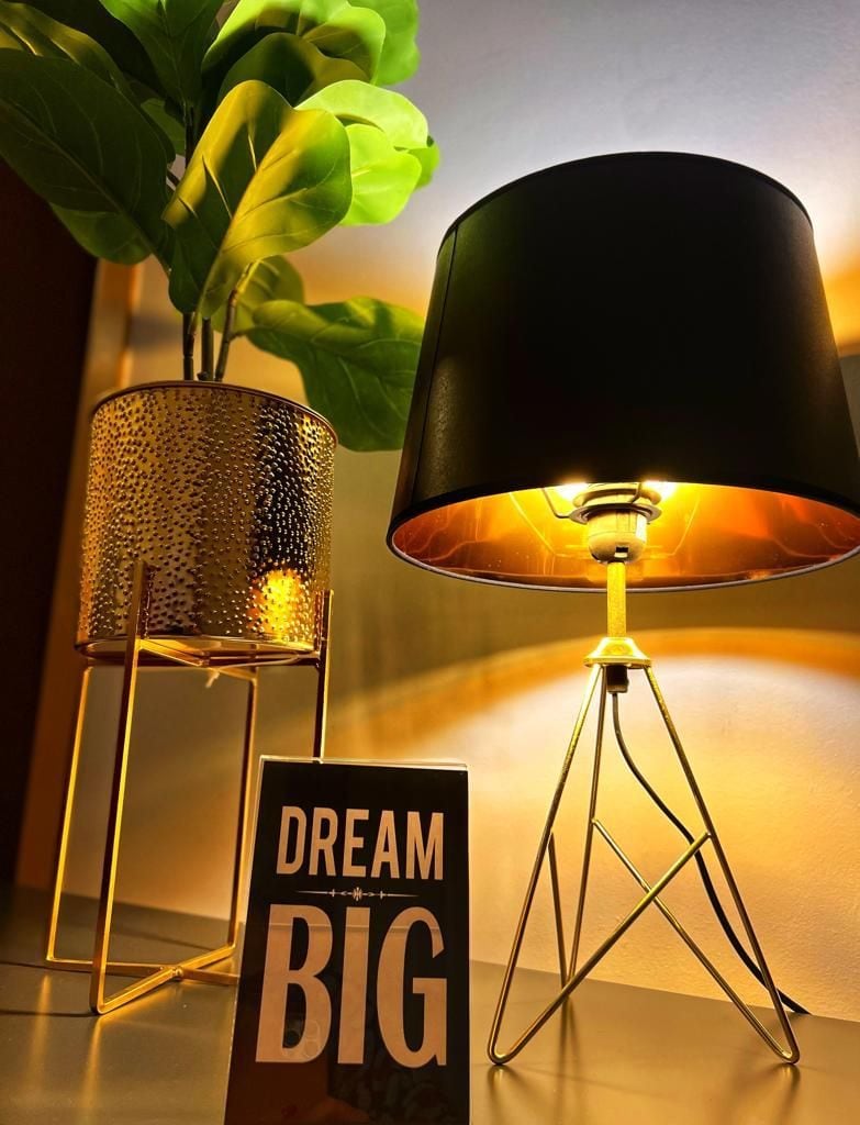 A lamp with a black shade and a textured base, a sign with the words 'DREAM BIG,' and a green plant in a glass container.