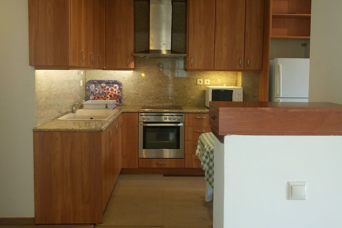 Family Apartment | Private kitchen | Coffee/tea maker, full-size fridge, microwave, oven