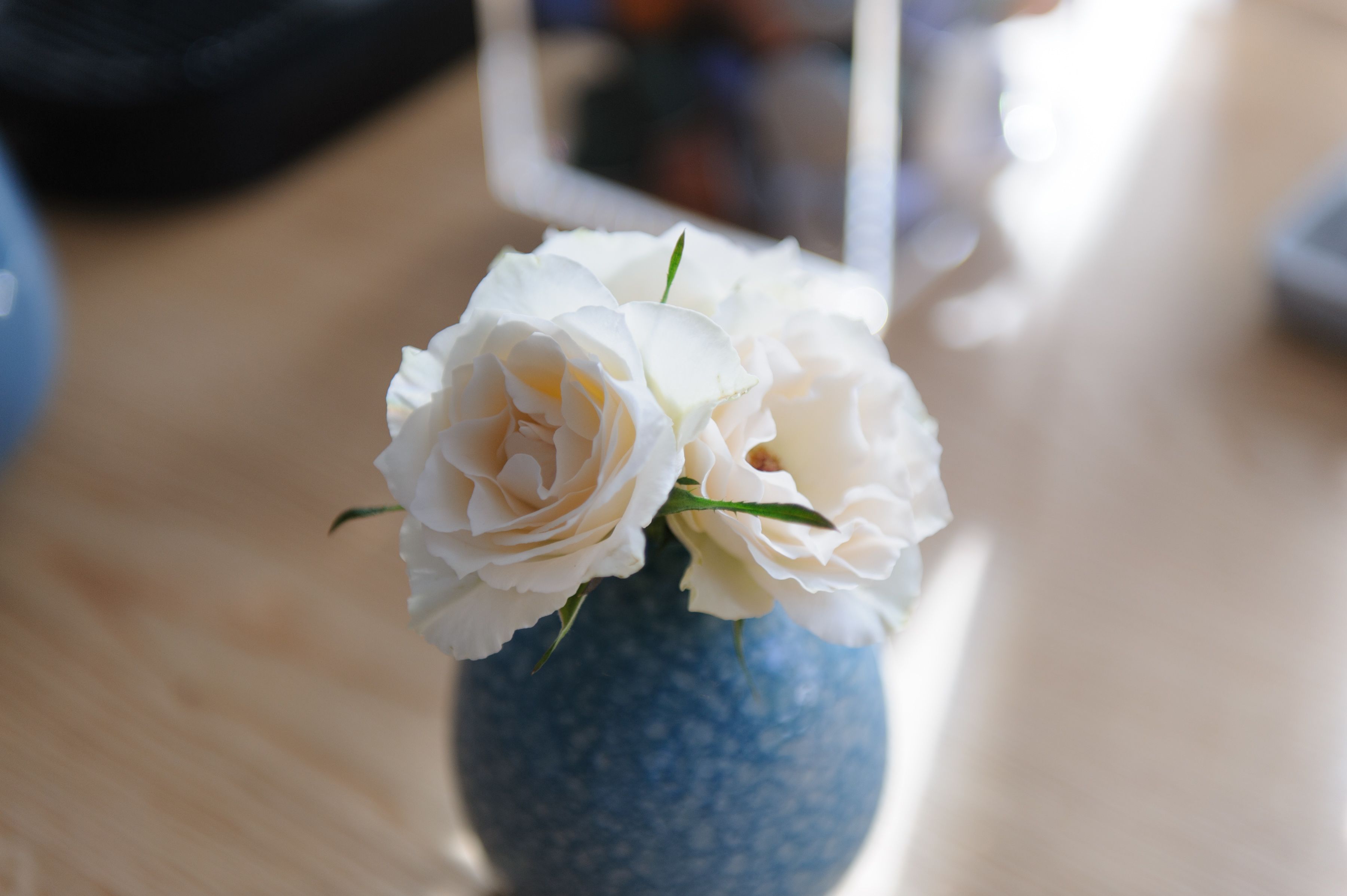 Un jarrón con flores blancas sobre una superficie de madera.