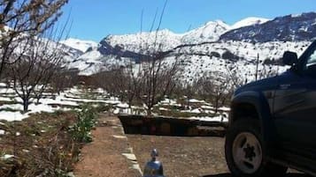 Vista desde la propiedad