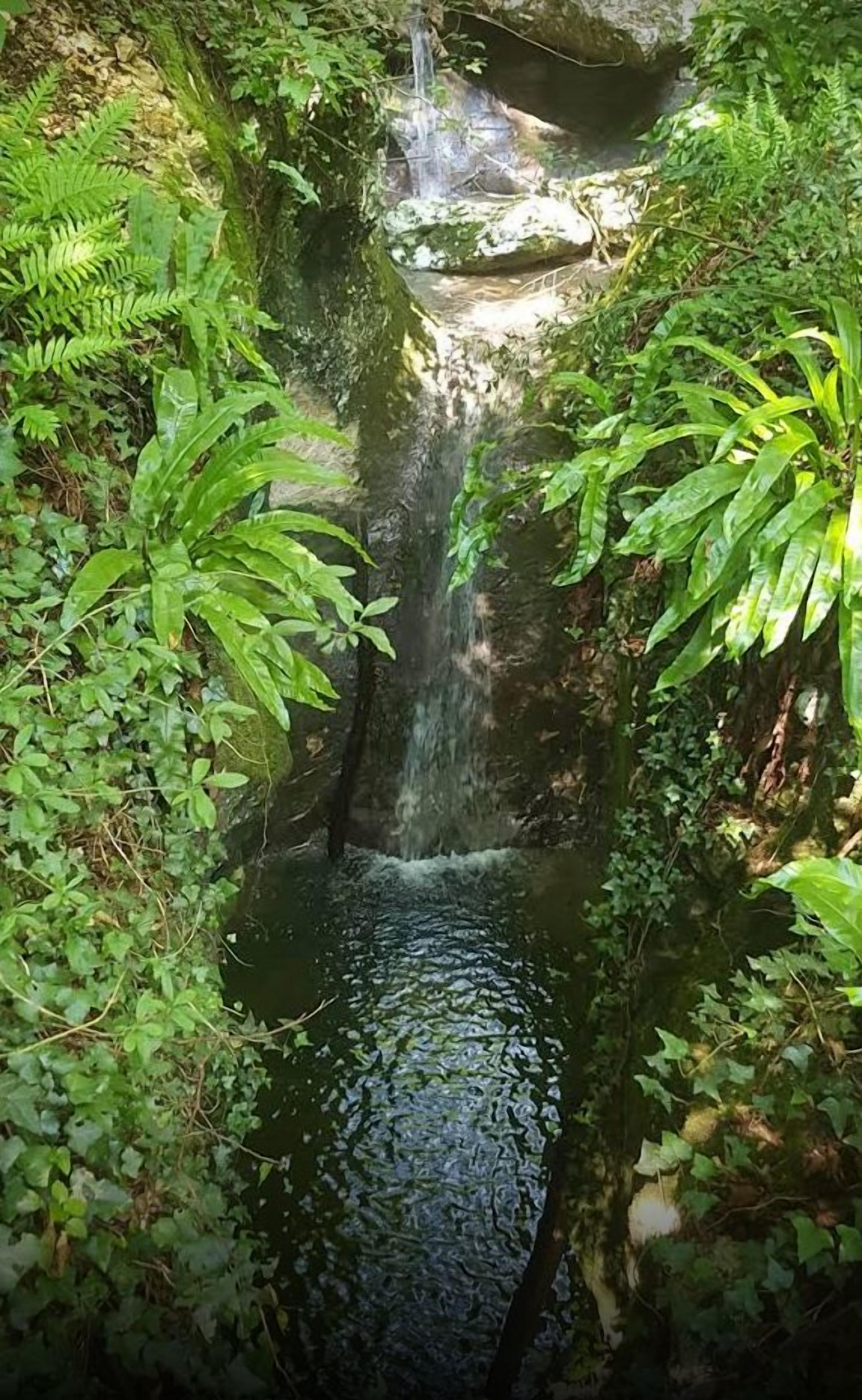 A serene waterfall surrounded by lush greenery.