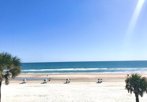 On the beach, sun-loungers, beach umbrellas, beach towels - Organic Beach Retreat (Daytona Beach Shores)