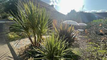 Individually decorated, desk, blackout curtains, soundproofing