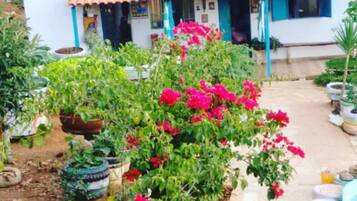 Vista da propriedade