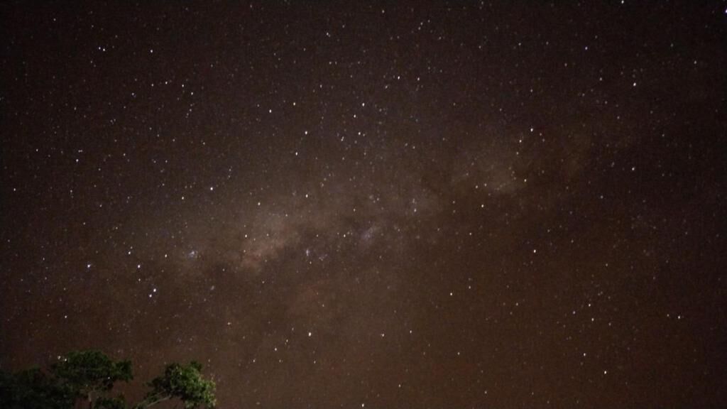 Un ciel nocturne constellé d'étoiles.